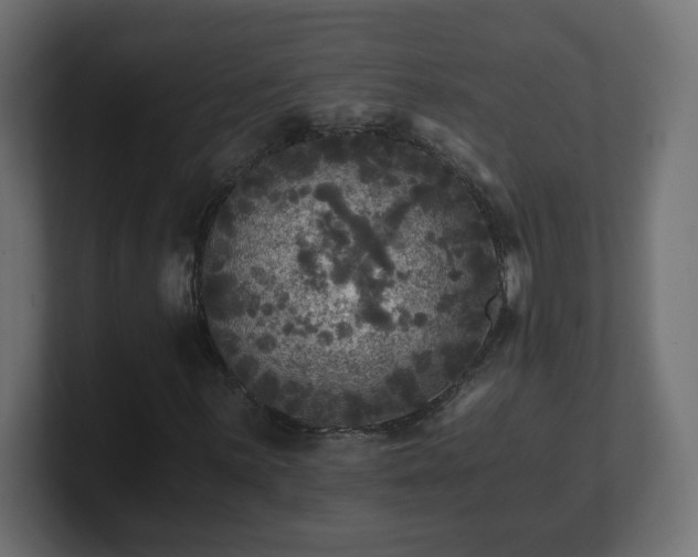 X0000100761059200806261600