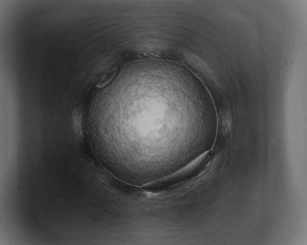 X0000100761060200806261600