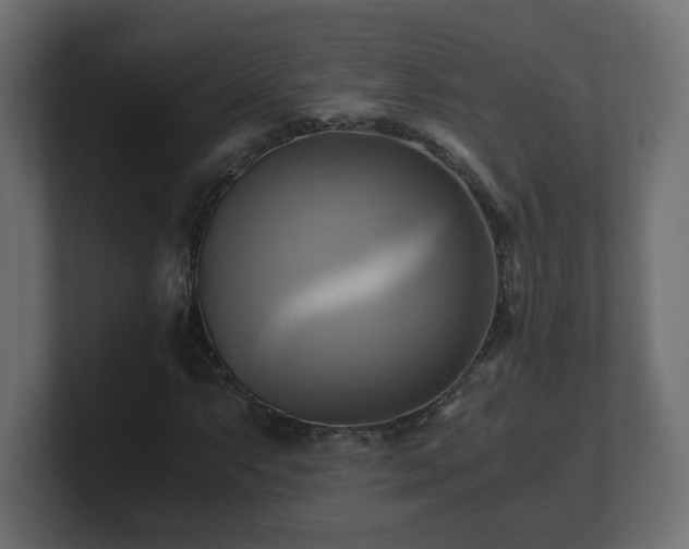 X0000100761063200806261600