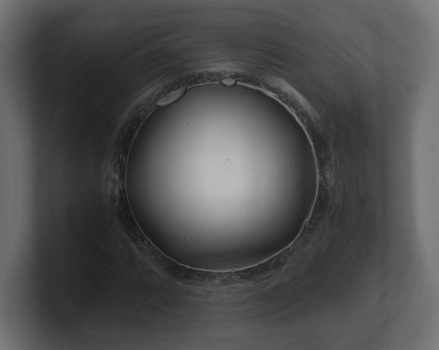 X0000100761064200806261600