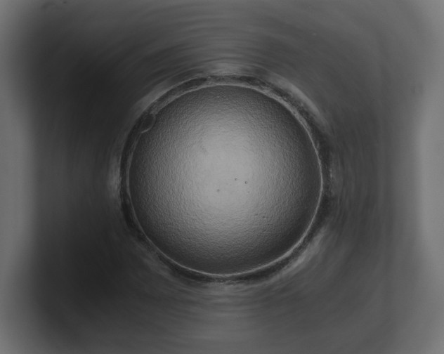 X0000100761065200806261600