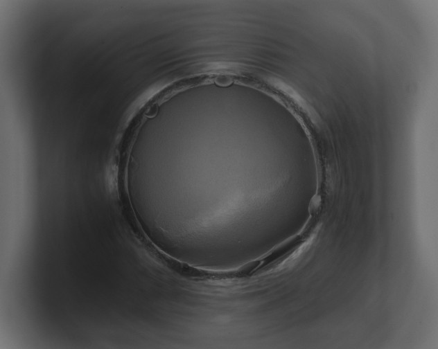 X0000100761066200806261600