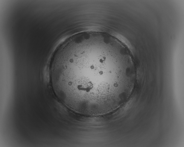 X0000100761067200806261600