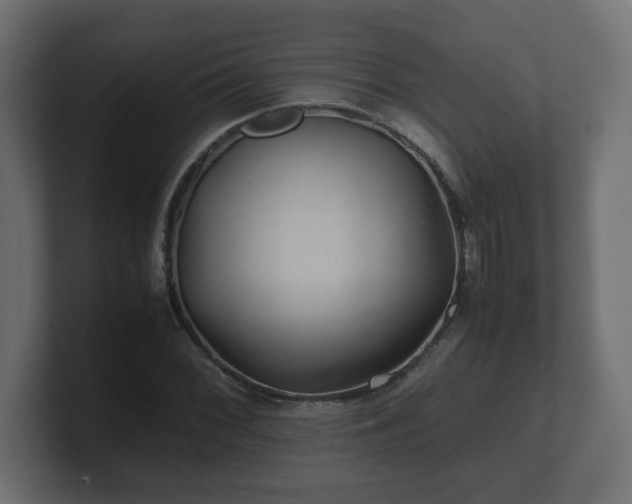 X0000100761068200806261600