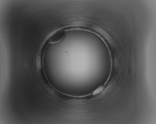 X0000100761069200806261600