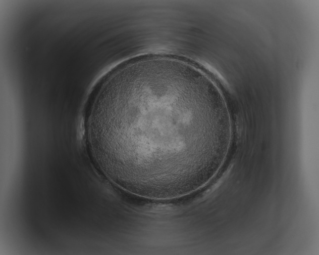 X0000100761070200806261600