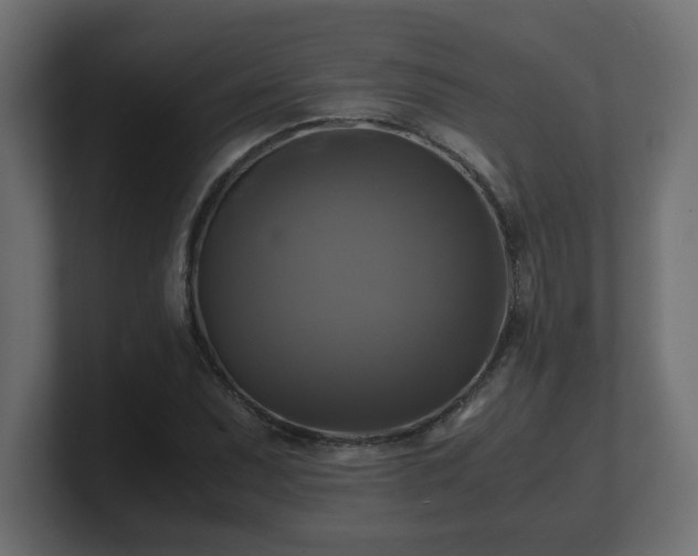 X0000100761071200806261600