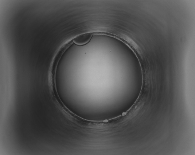 X0000100761072200806261600