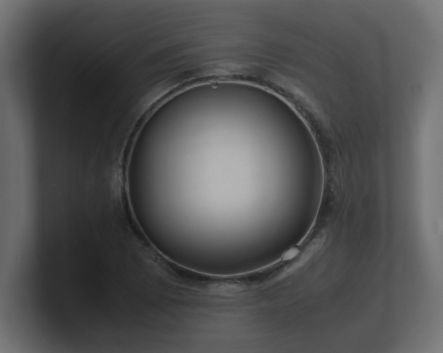 X0000100761073200806261600