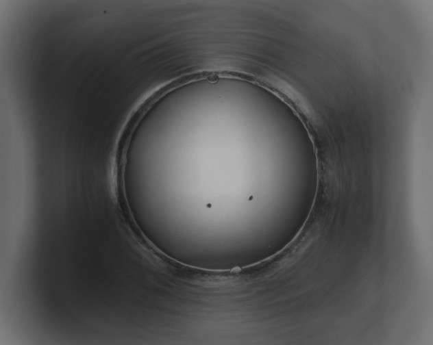 X0000100761076200806261559