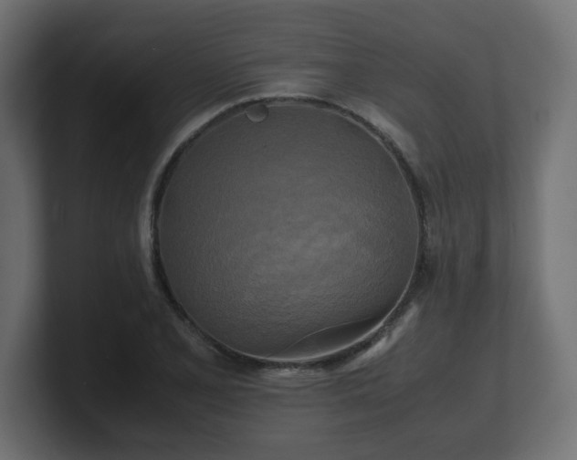 X0000100761077200806261559