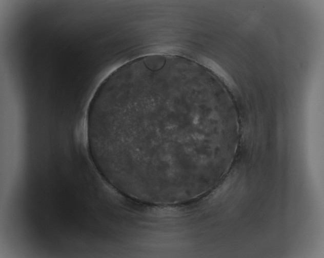 X0000100761079200806261559