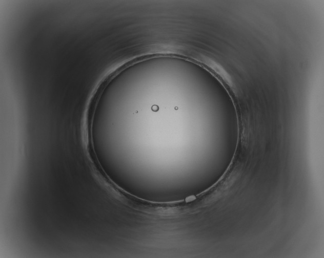 X0000100761080200806261559