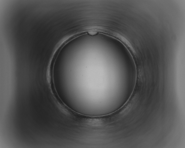 X0000100761082200806261559