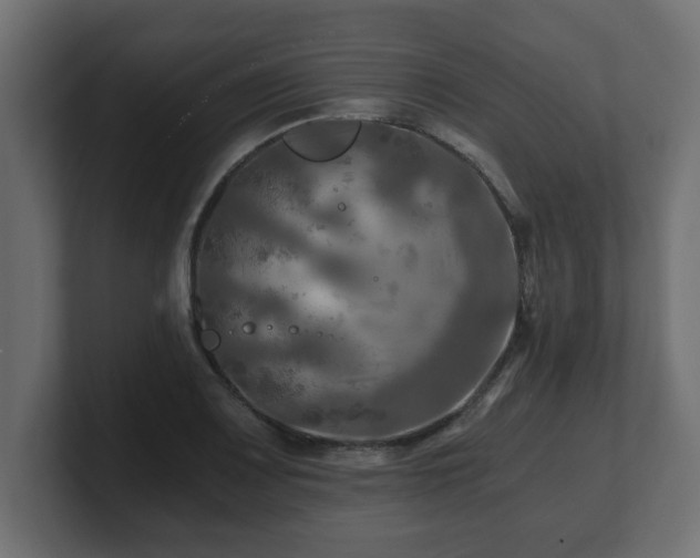 X0000100761083200806261559