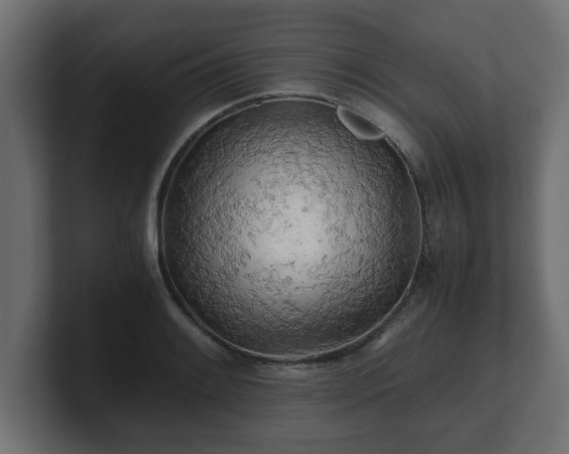 X0000100761084200806261559