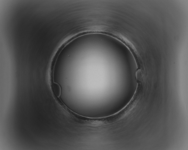 X0000100761085200806261559