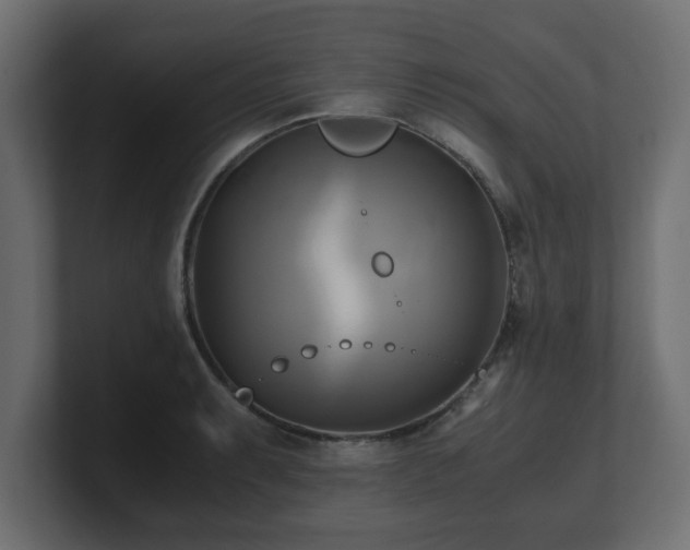 X0000100761087200806261559