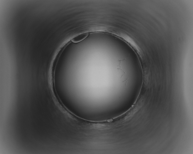 X0000100761088200806261559