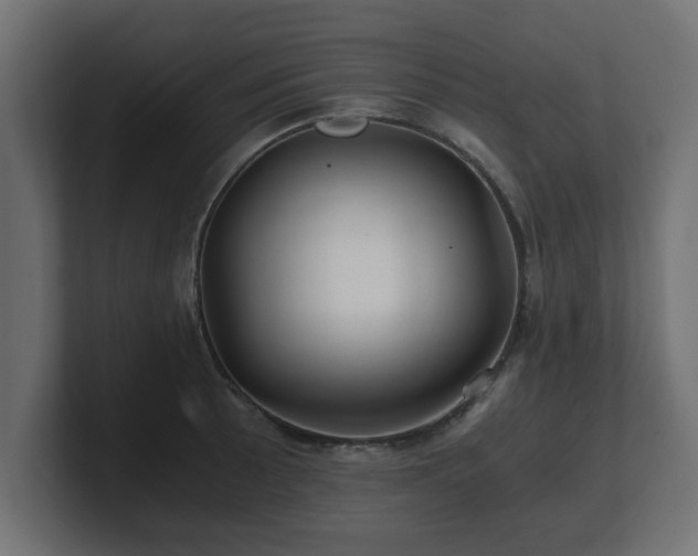 X0000100761089200806261559