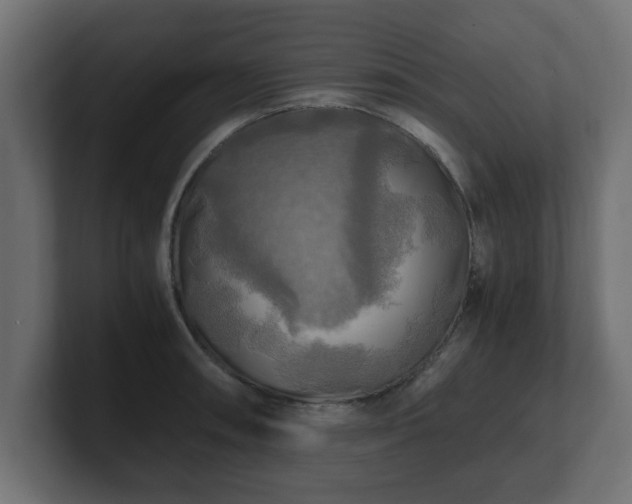 X0000100761090200806261559