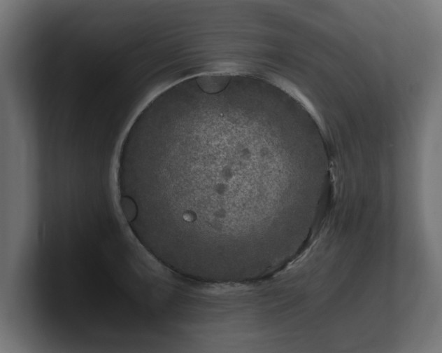 X0000100761091200806261559