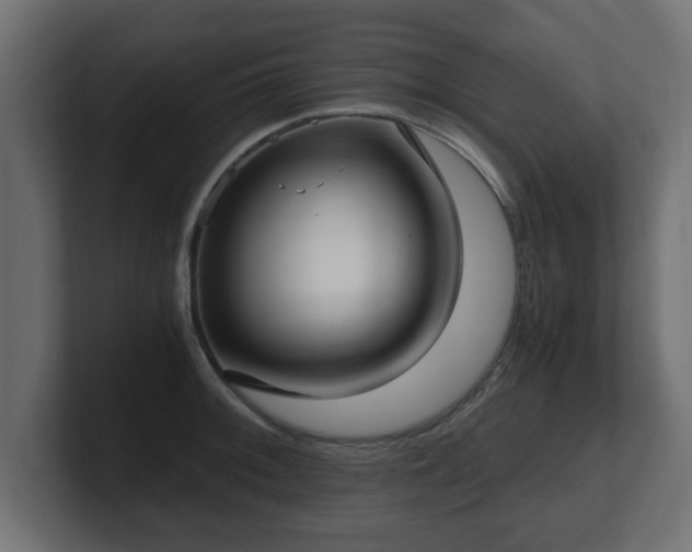 X0000100761092200806261559