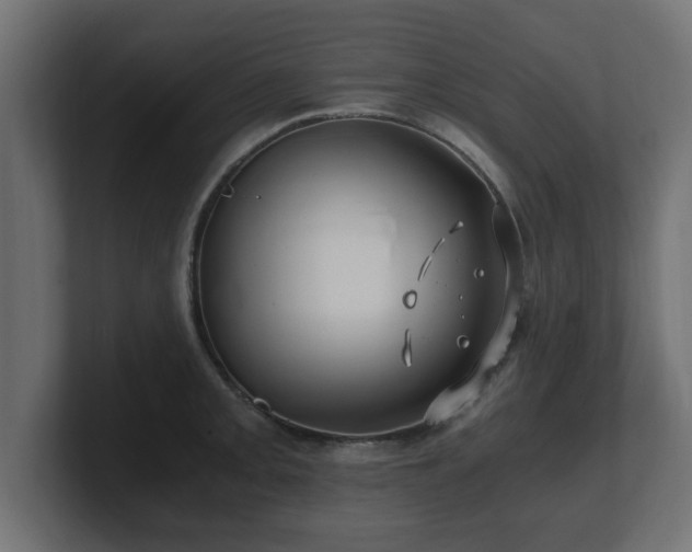 X0000100761093200806261559