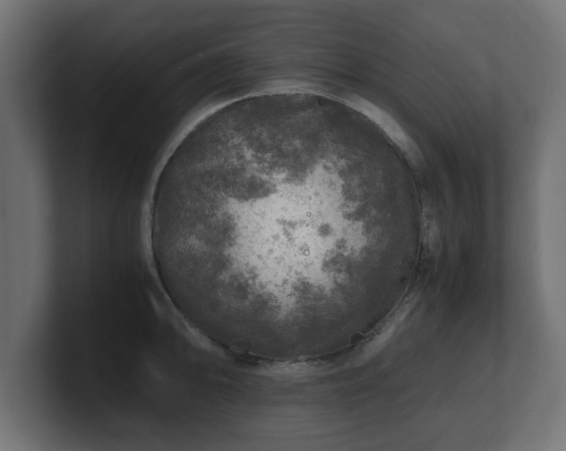 X0000100761094200806261559