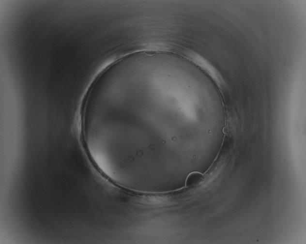 X0000100761095200806261559