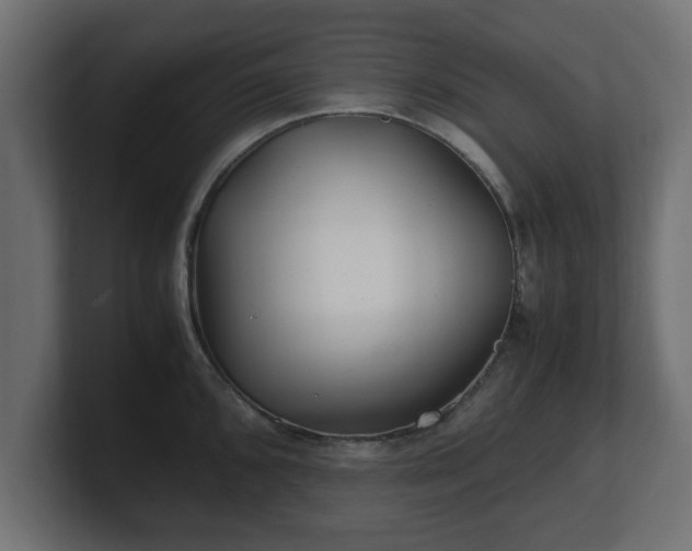 X0000100761096200806261559