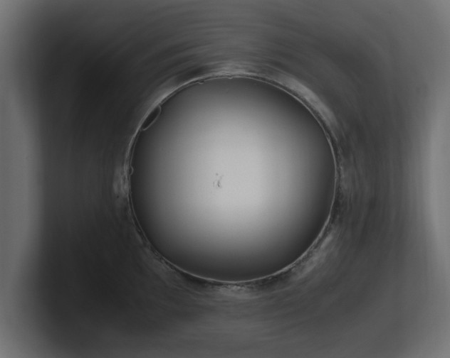 X0000100761097200806261559