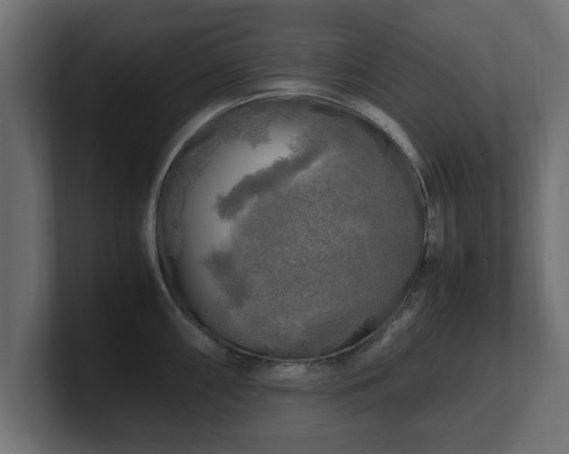 X0000100761098200806261559