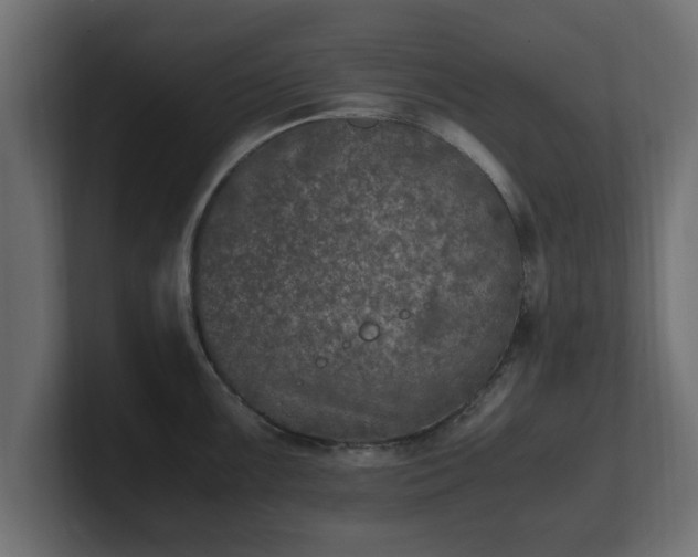 X0000100761099200806261559