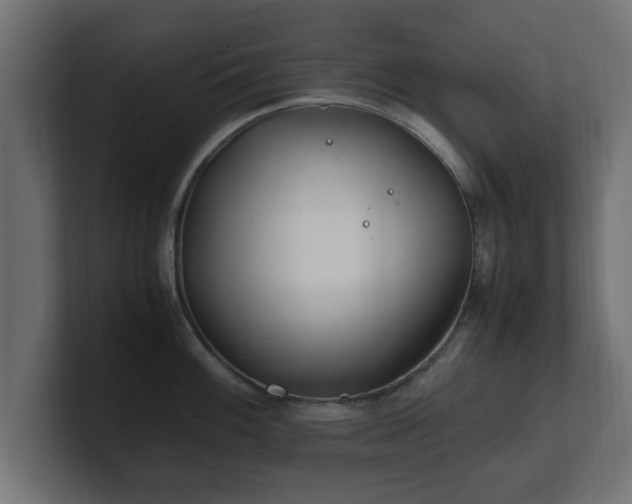 X0000100761100200806261559