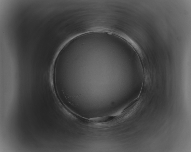 X0000100761102200806261559