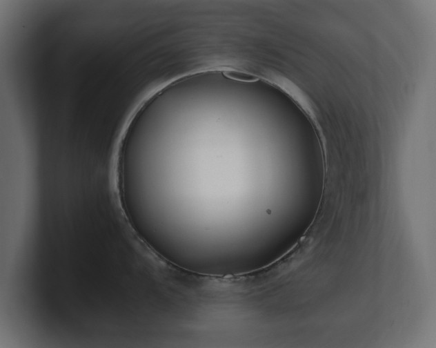 X0000100761104200806261559