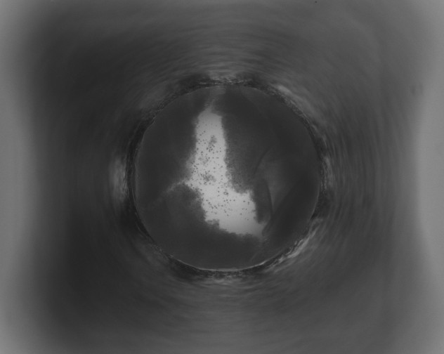 X0000100761106200806261558