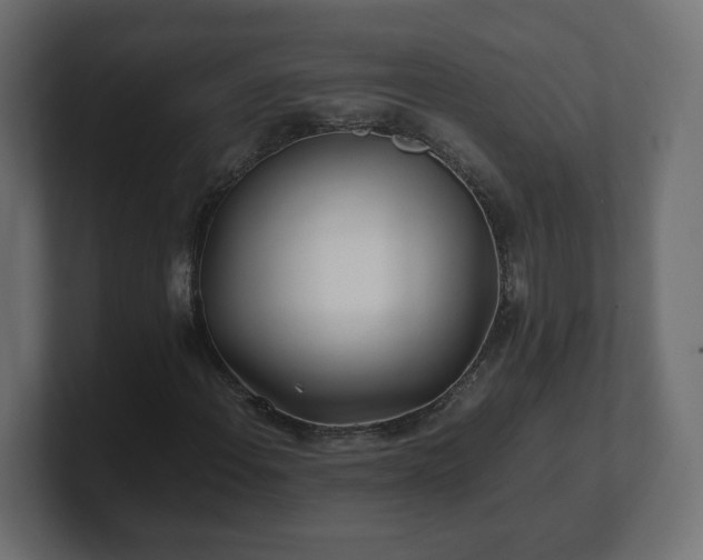 X0000100761108200806261559