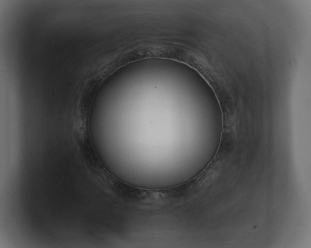 X0000100761109200806261559