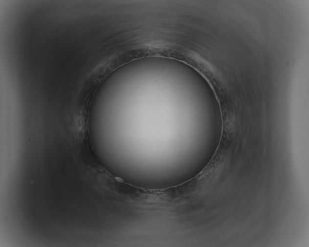 X0000100761110200806261559