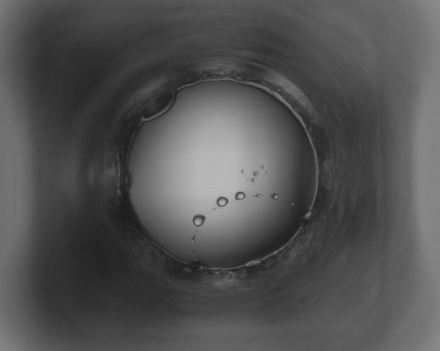 X0000100761111200806261559