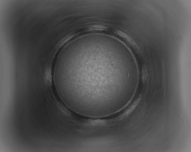 X0000100761113200806261559