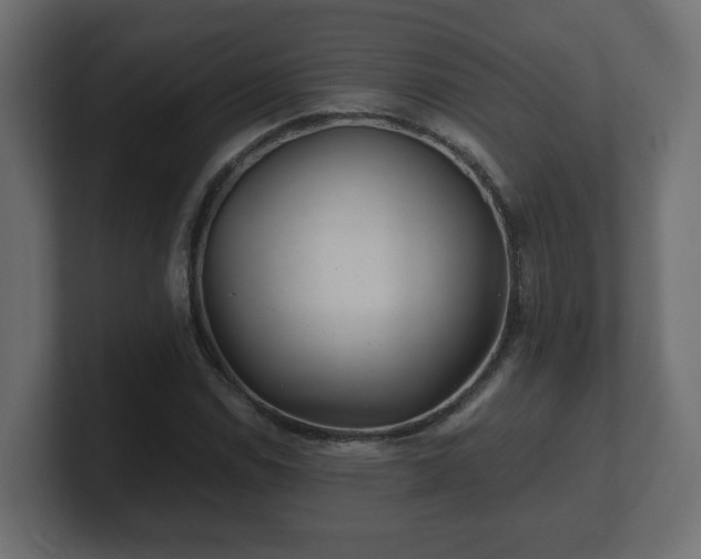 X0000100761114200806261559