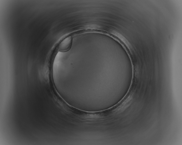 X0000100761115200806261559