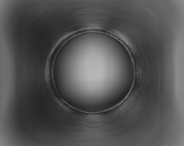 X0000100761116200806261559