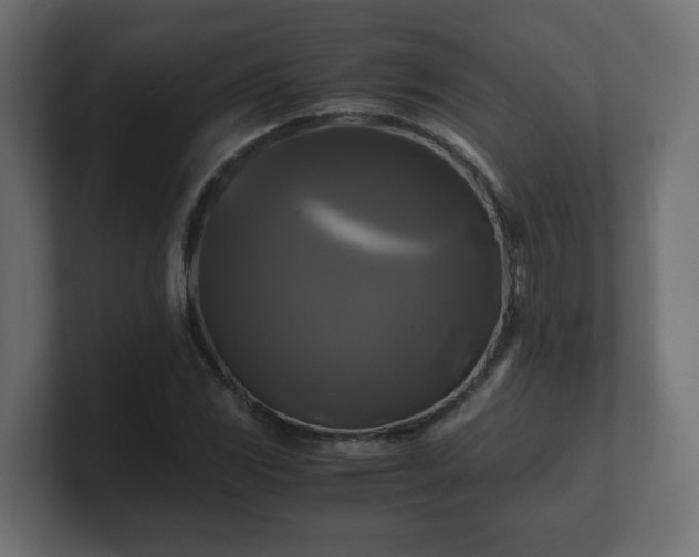 X0000100761117200806261559