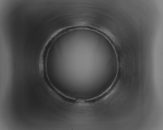 X0000100761118200806261559