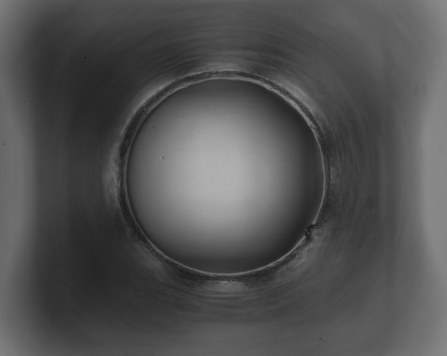 X0000100761119200806261559