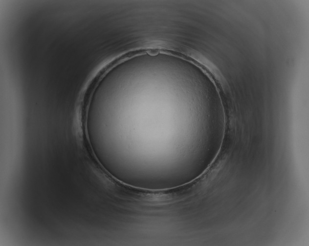 X0000100761120200806261559